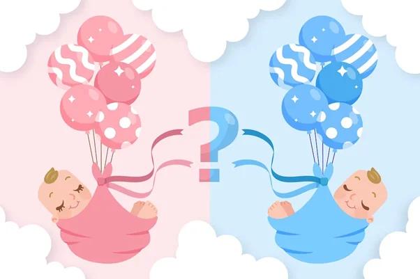 Sexagem fetal: preço, quando e onde fazer