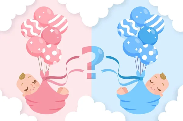 Sexagem fetal: preço, quando e onde fazer