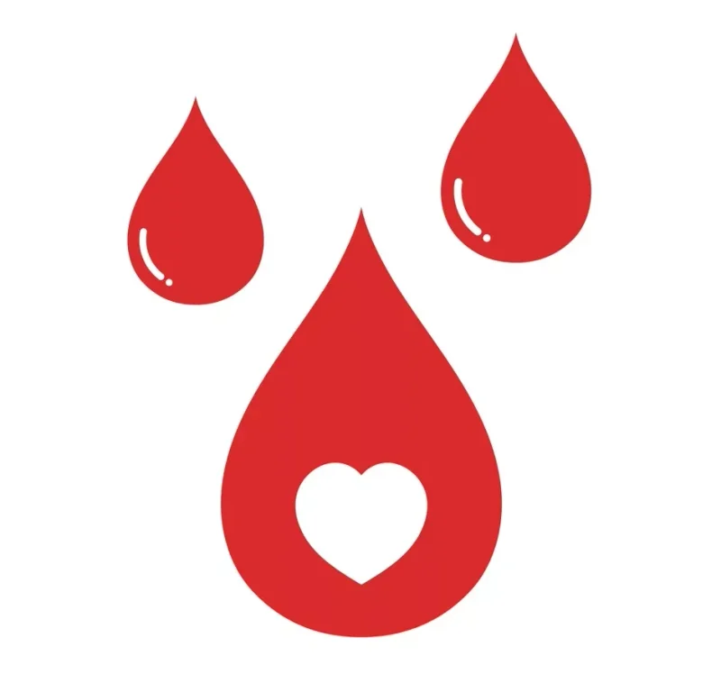 Hemofilia: causas, tipos, sintomas e tratamentos
